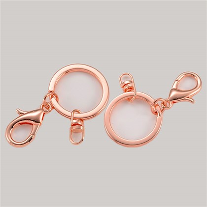 OEM Metal Key Chain Charme met sleutelring